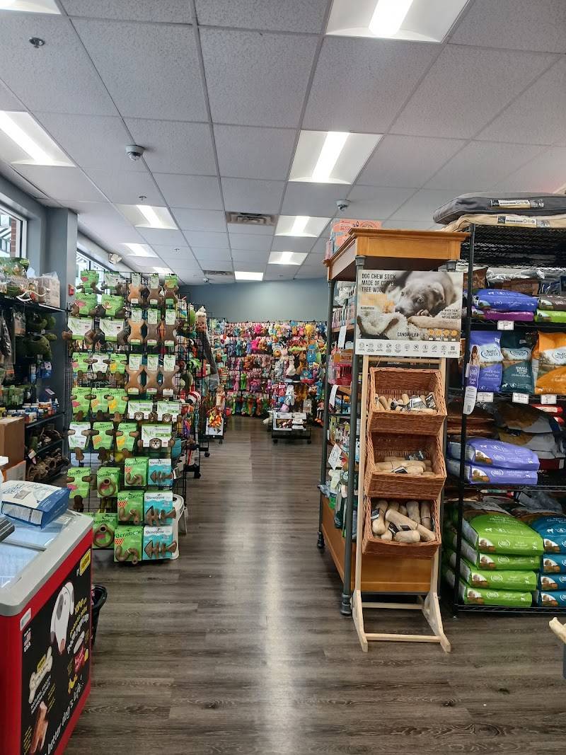 Pet Mania